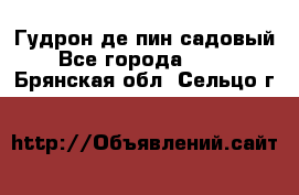 Гудрон де пин садовый - Все города  »    . Брянская обл.,Сельцо г.